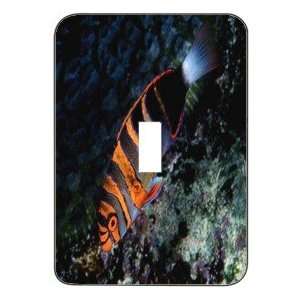   Metal Designer Switch Plate Seaworld   (SCSSW 024)