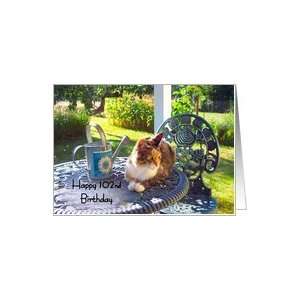  Happy 102nd Birthday, calico cat on porch, garden view 