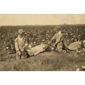   , nine year old cotton picker. He picks two hundre
