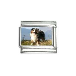  Australian Shepherd 10ch Charm 