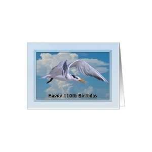  Birthday, 110th, Royal Tern in Flight Card Toys & Games