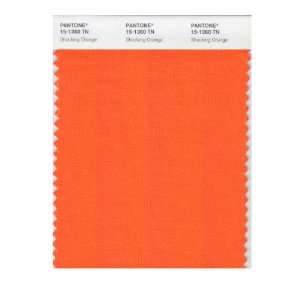  Pantone 15 1360 Nylon Brights Color Swatch Card