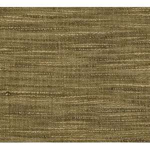  1475 Ulysses in Loden by Pindler Fabric