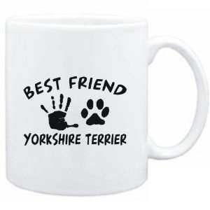    MY BEST FRIEND IS MY Yorkshire Terrier  Dogs