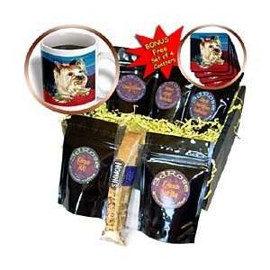 Dogs Yorkshire Terrier   Yorkshire Terrier   Coffee Gift Baskets 