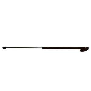  Strong Arm 4984 Hatch Lift Support Automotive