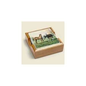  Yearlings Coasters