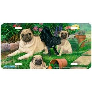 5344 The Gardeners Pug Dog License Plate Car Auto Novelty Front Tag 
