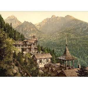 Vintage Travel Poster   Hotel Rosa in the Great Kohlbacherthal Tatra 