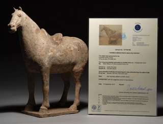 Ancient Chinese Tang Dynasty Pottery Terracotta Horse  