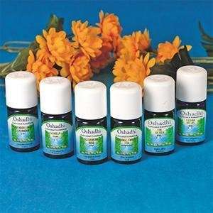  S&S Worldwide Reminiscing Essential Oil (Set of 6 