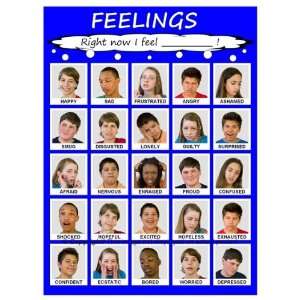  Laminated Teen Feelings Poster  Large