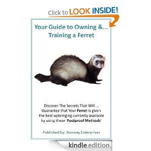 Your Ferret Tips   Tricks   Training   Health and Feeding [Kindle 