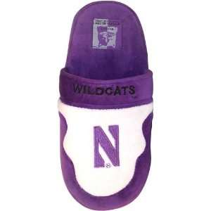 Northwestern Wildcats Scuff