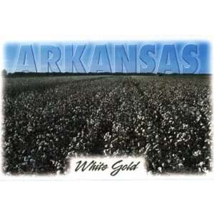  Arkansas Postcard Ar172 White Gold Case Pack 750 