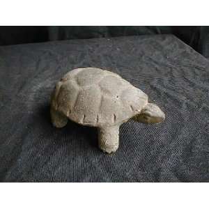  SMALL TURTLE, ea.