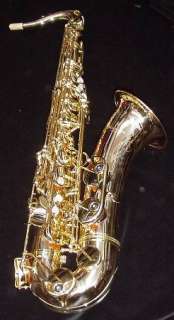 YANAGISAWA Tenor Saxophone in BRONZE   T 902   NEW   Ships FREE 