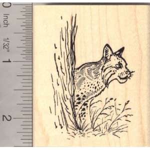  North American Bobcat Rubber Stamp Arts, Crafts & Sewing