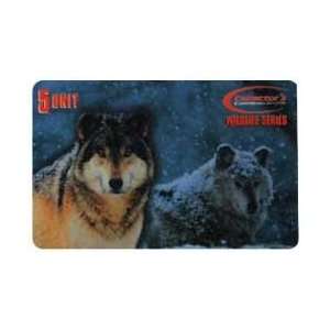  Card 5u Wildlife Series   Grey Wolf (Wolves) Live Printers Proof