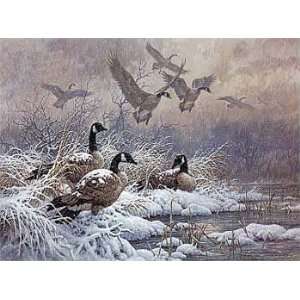 Larry Fanning   Winter Retreat   Canada Geese Canvas 