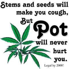 POT WILL NEVER HURT YOU GIFT T SHIRT WEED BEER 420 WO  