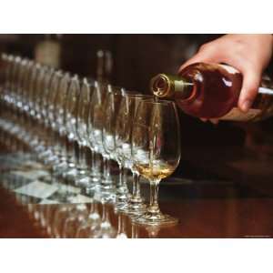  Row of Wine Tasting Glasses, Chateau La Tour Blanche 