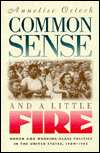 Common Sense and a Little Fire Women and Working Class Politics in 