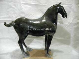 38cm rare cool black horse Tang SANCAI horse  