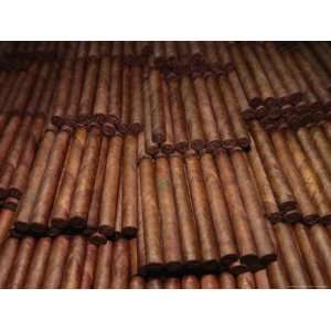  Stacks of Cigars in a Cigar Factory, Havana, Cuba 