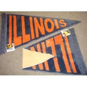  University of Illinois UIUC Plush Pennant Area Rug / Floor 
