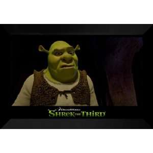  Shrek the Third 27x40 FRAMED Movie Poster   Style D