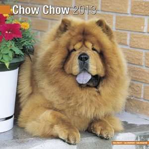  Chow Chow 2013 Wall Calendar 12 X 12