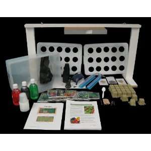   Plant Growth and Development Classroom Science Kit Toys & Games