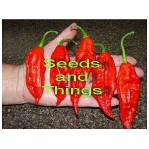  Bhut Jolokia Pepper Seeds 10 Plus AKA Ghost Pepper, Pure 