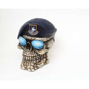  US Air Force Skull Bank