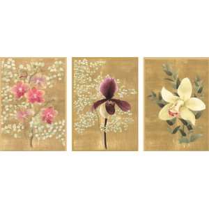   with Caspari Orchids Blank Notecard Arts, Crafts & Sewing