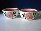 Vintage Stangl Pottery Hand Painted WILD ROSE Pattern S