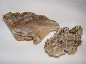 Translucent Lace Agate Slabs for Cabs 11.2 x 6.3 cm  