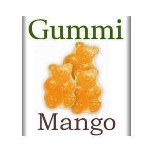 Albanese Mango Gummi Bears 5lbs Grocery & Gourmet Food
