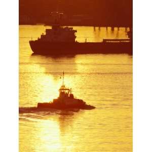 Tugboat at Dawn, Elliott Bay, Seattle, Washington, USA Photographic 