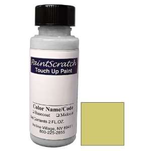   Touch Up Paint for 2000 Nissan Skyline (color code EV0) and Clearcoat