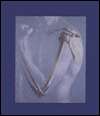 Human Anatomy, (0132676915), Frederic H. Martini, Textbooks   Barnes 