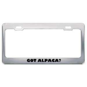  Got Alpaca? Animals Pets Metal License Plate Frame Holder 