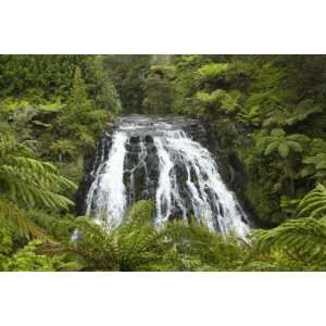  Owharoa Falls, Karangahake Gorge, Waikato, North Island 