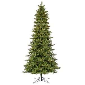 5.5 X 35 Slim Waconia Pine Dura Lit 300 Clear Lights 