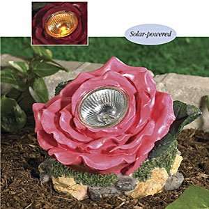  Solar Rose Spotlight Patio, Lawn & Garden