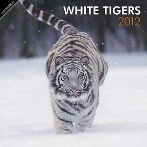  2012 White Tigers Calendar