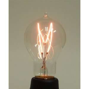  60 Watt 1890 Victorian Carbon Filament A19 Bulb