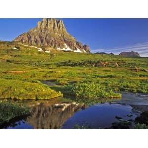  Reflects into Small Pool at Logan Pass in Glacier National Park 