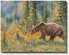   WRAPPED WALL ART CANVAS THE GRIZZLY BEAR WALKED HERE FOREST WOODS